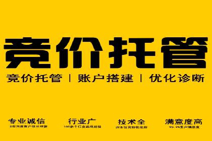 知名百度推广代运营公司案例分享